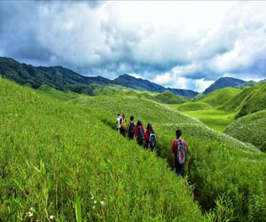 Nagaland Dzukou Valley Kaziranga Tour Package for Group